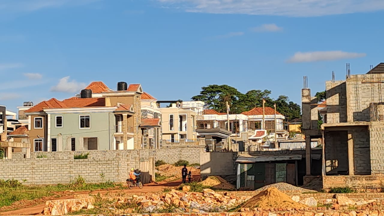 NEMA’s Wetland Crackdown: Painful, Necessary and Long Overdue